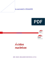 Acidos Nucleicos CCNN