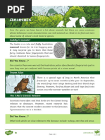 UKS2 Strange But True Animals Differentiated Reading Comprehension Activity