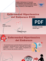 Enfermedad Hipertensiva Del Embarazo EHIH
