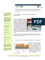 2012 Informe - Anual - de - Visitantes PNG