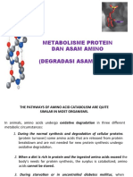 METABOLISME ASAM AMINO Protein Biologi