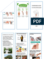 Triptico de Enfermedades Ocupacionales