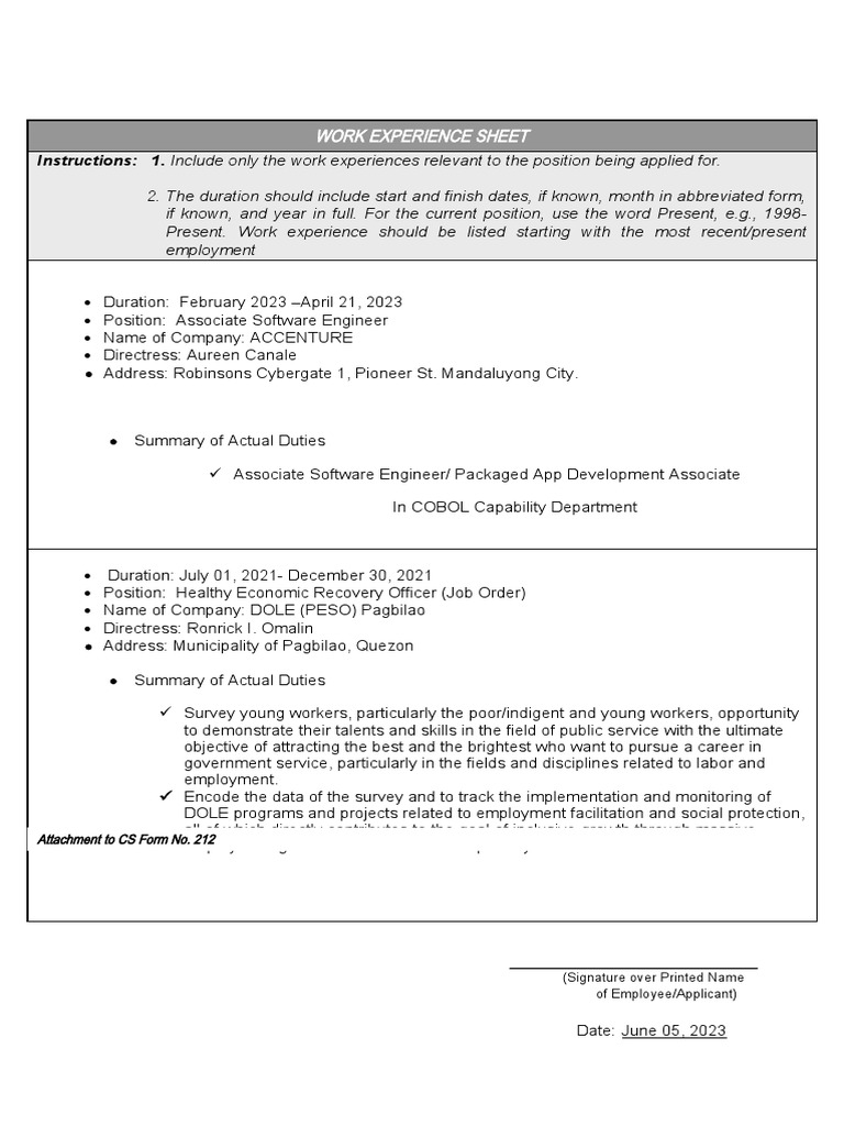 Work Experience Sheet PDF