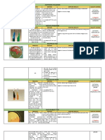 Bacterial Identification Methods