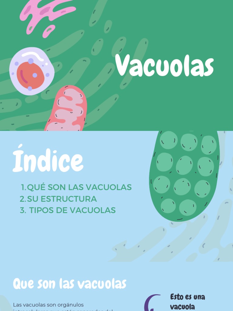 Vacuola PDF Vacuole Biología Celular)