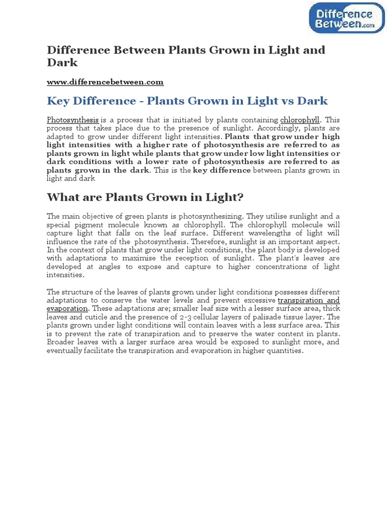 Difference Between Plants Grown in Light and Dark PDF Leaf Plants