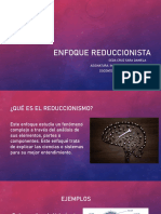 Enfoque Reduccionista