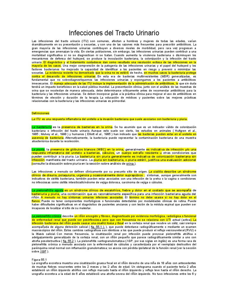 Infecciones Del Tracto Urinario Pdf Infección Del Tracto Urinario