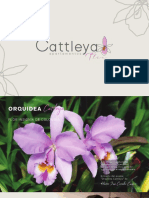 Rotafolio Cattleya Flex