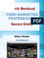 Video Marketing Professional
