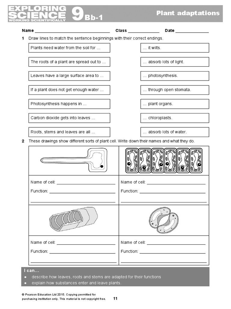 Plant Adaptation | PDF
