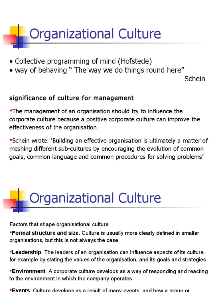 Understanding Organizational Culture Dynamics | PDF | Organizational ...
