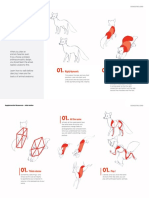 U2 ADJ 03 Animal Anatomy Basics