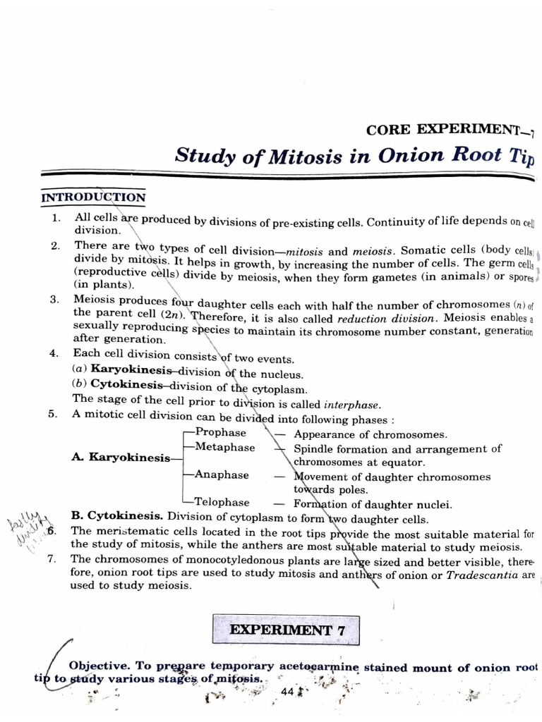 Xii Biology Record PDF