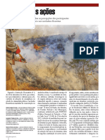 Artigo Incendio Florestal - Ed138