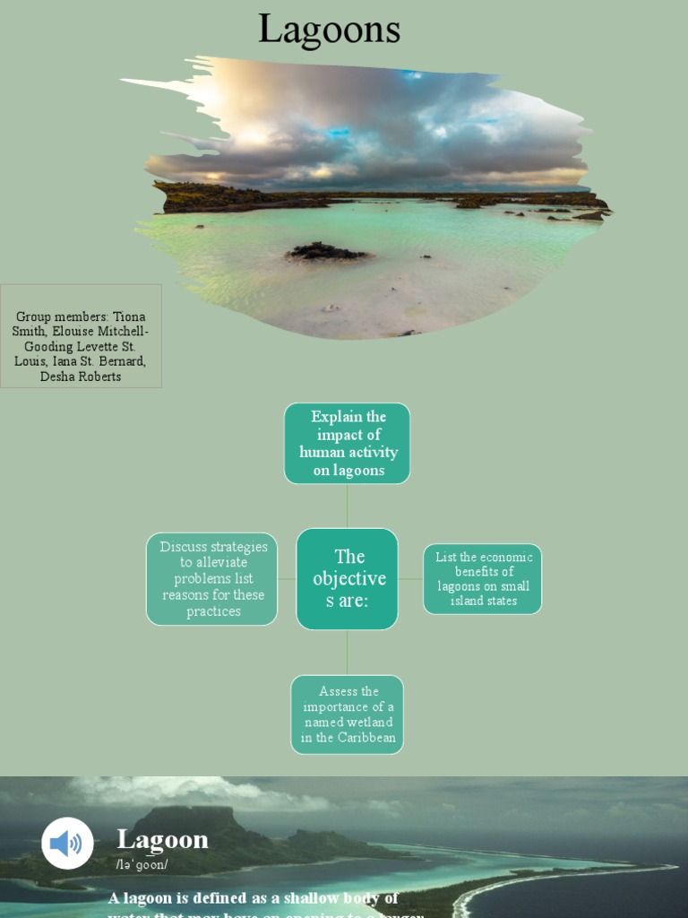 Bio Lagoons | PDF