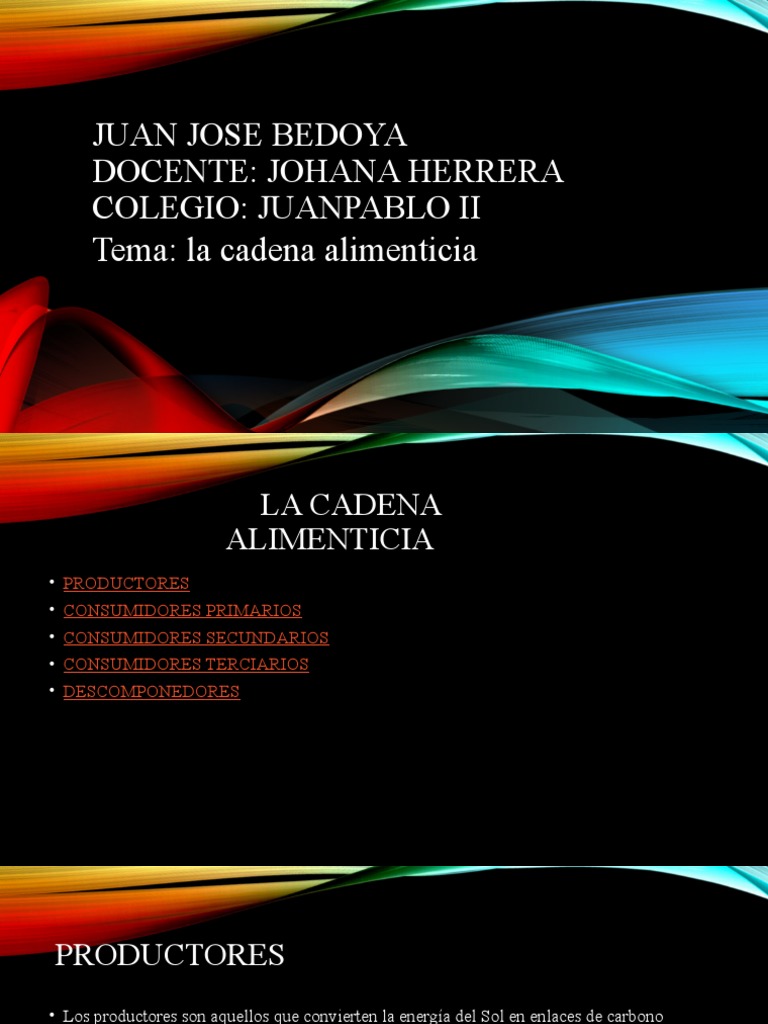 Juan Jose Bedoya PDF