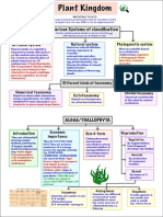 62e168e630d24 Plant Kingdom Mind Map