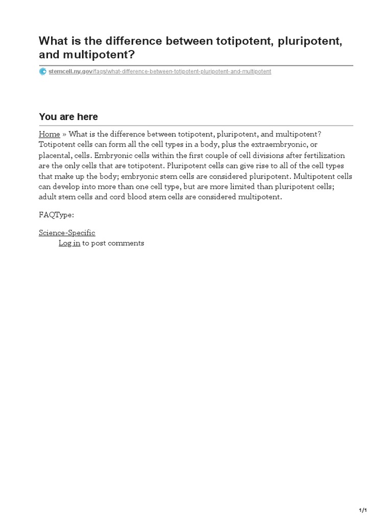 stemcell.ny.govWhat is the difference between totipotent pluripotent