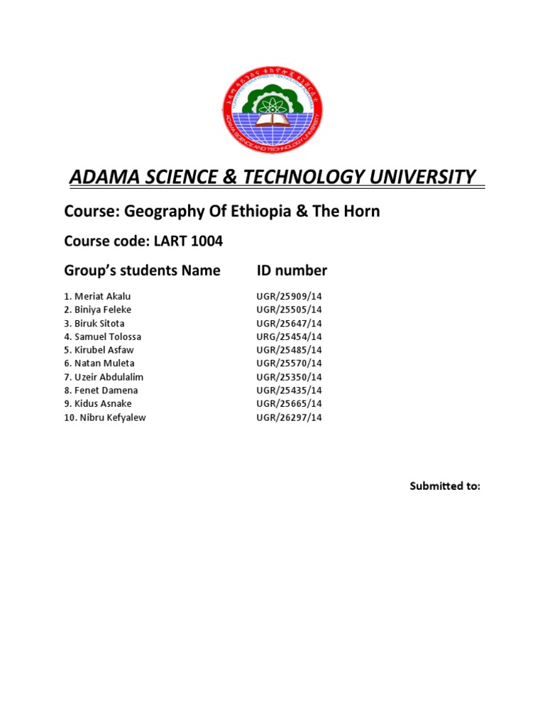 Introduction To Manufacturing Industry in Ethiopia PDF Transport