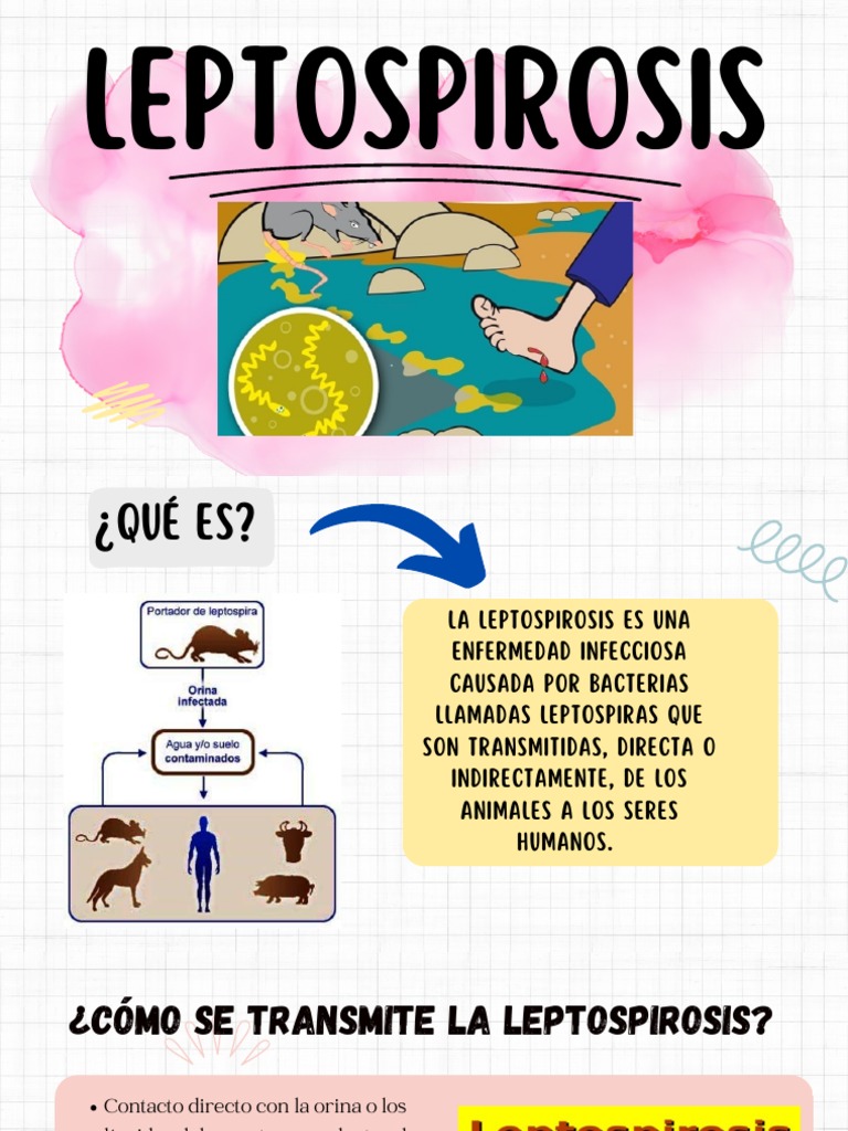 LEPTOSPIROSIS PDF