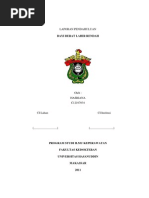 Download LAPORAN PENDAHULUAN BBLR by Hasriana Ana Budiman SN65056142 doc pdf