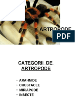 Artropode CARACTERE Generale