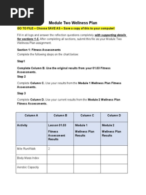 module_two_wellness_plan