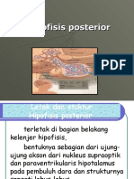 PP Hipofisis Posterior