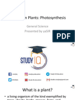 PPT - Photosynthesis