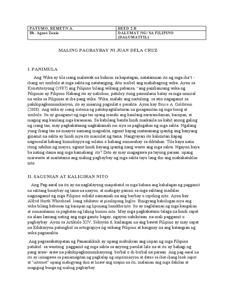 Proykto Sa DALUMAT | PDF