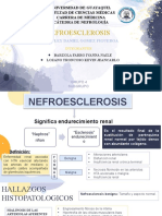 Nefroesclerosis