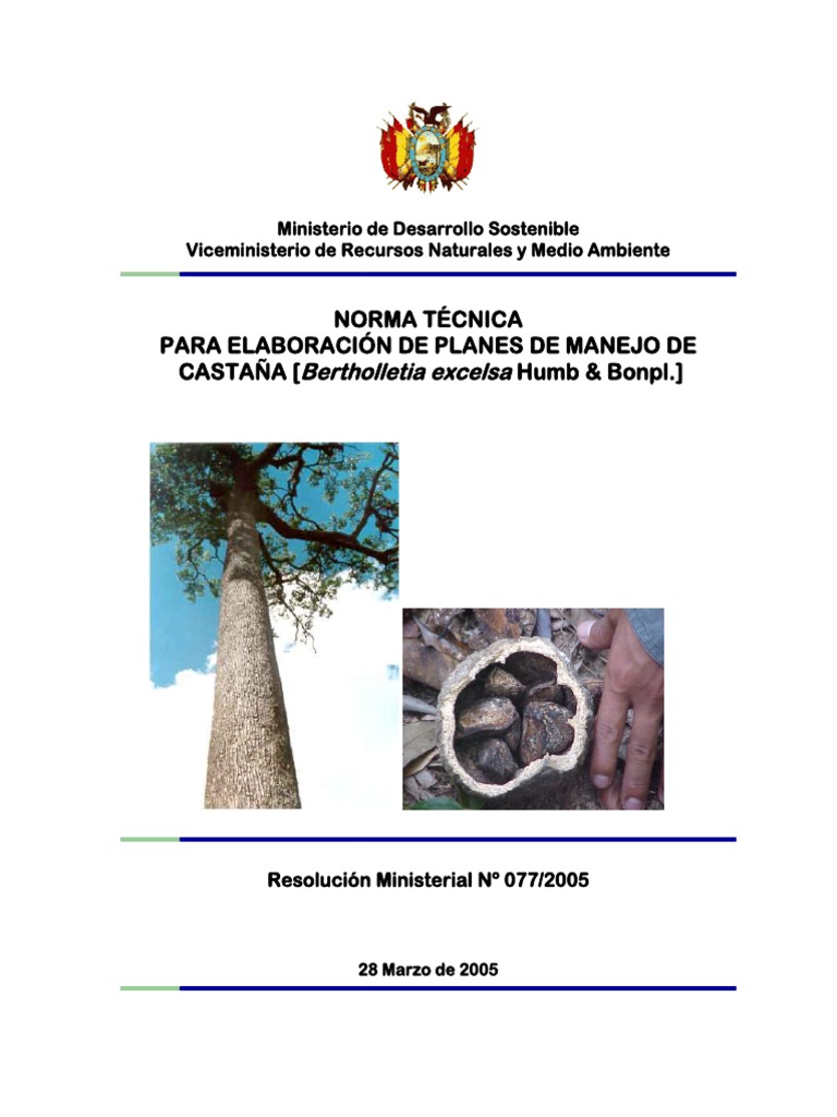 RM 77 - 2005 - Norma Tecnica PGMF Castaña | PDF | Los bosques | Pesticida