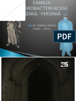 Genul Yiersinia