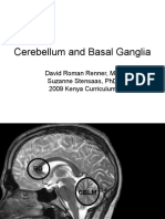 08.D Cerebellum and Basal Ganglia