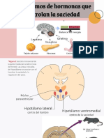 Mecanismos de Hormonas Que Controlan La Saciedad