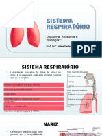 04 - Sistema Respiratório