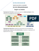 TIPOS DE ORGANIGRAMAS 