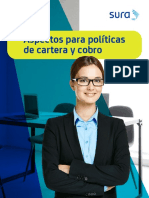 Aspectos para Politicas de Cartera