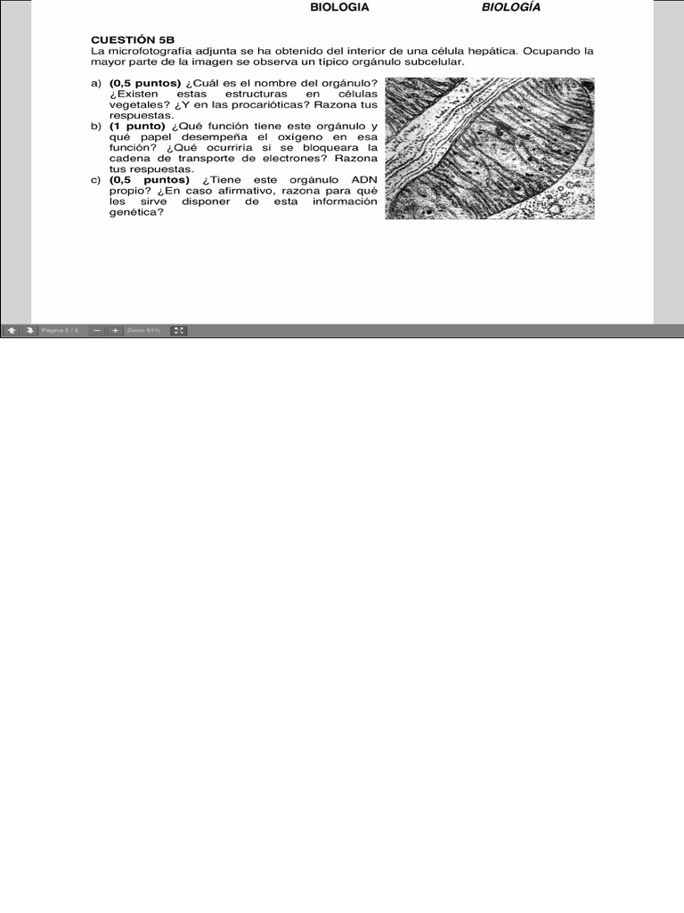 Biología EJERCICIOS Y EXÁMENES RESUELTOS PDF