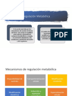 REgulacion e Integracion Metabolica