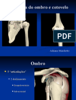 Anatomia Do Ombro e Cotovelo