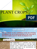 Core UC2 PLANT CROPS