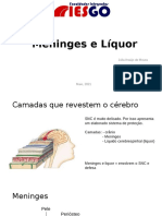 AULA 9 - Meninges e Liquor