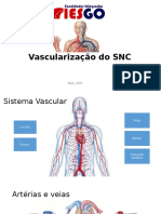 AULA 10 - Vascularização Do SNC
