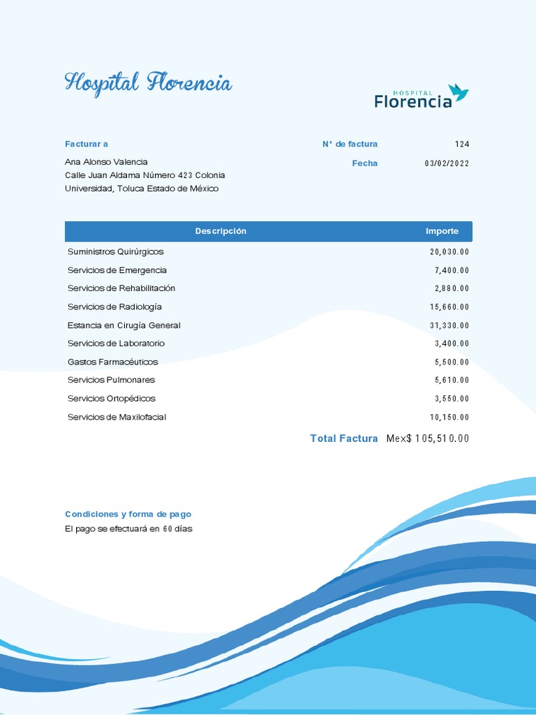 Factura de Hospital | PDF