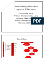 Cuadro Sinoptico Proceso de La Comunicacion.