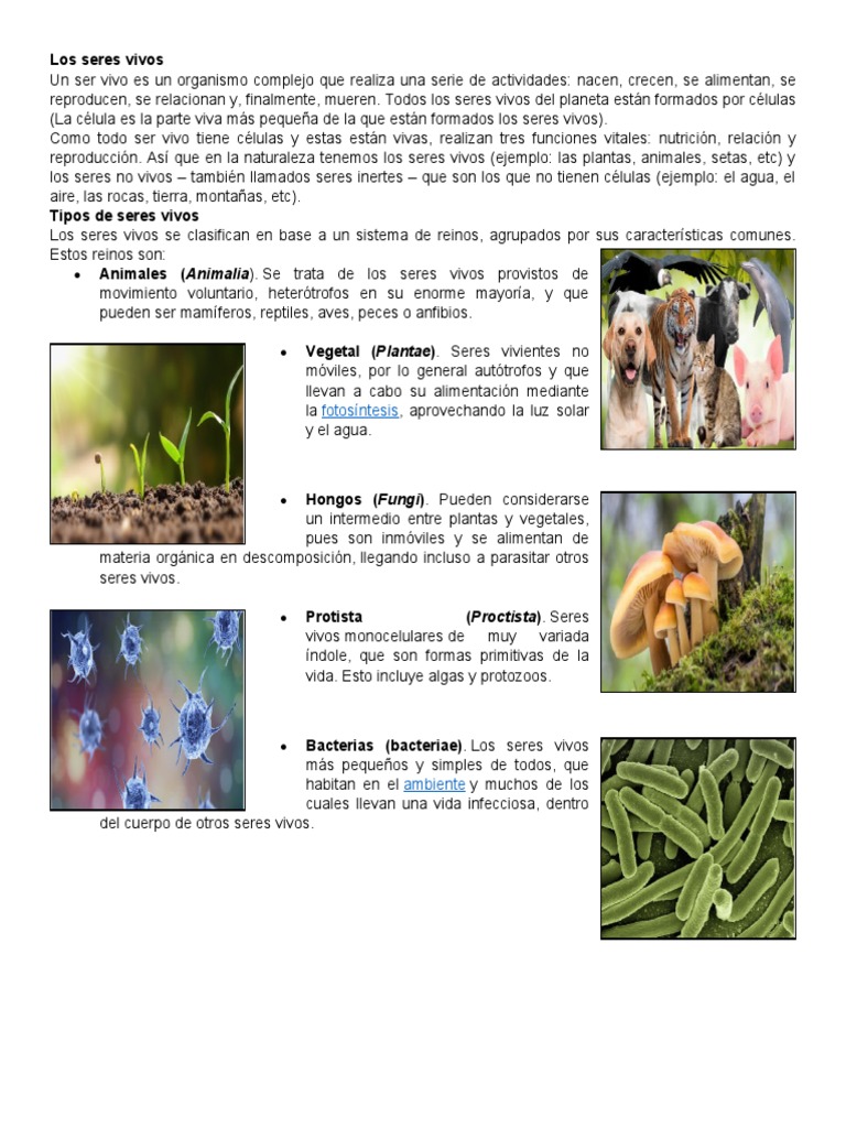 Los Seres Vivos | Descargar gratis PDF | Organismos | Músculo