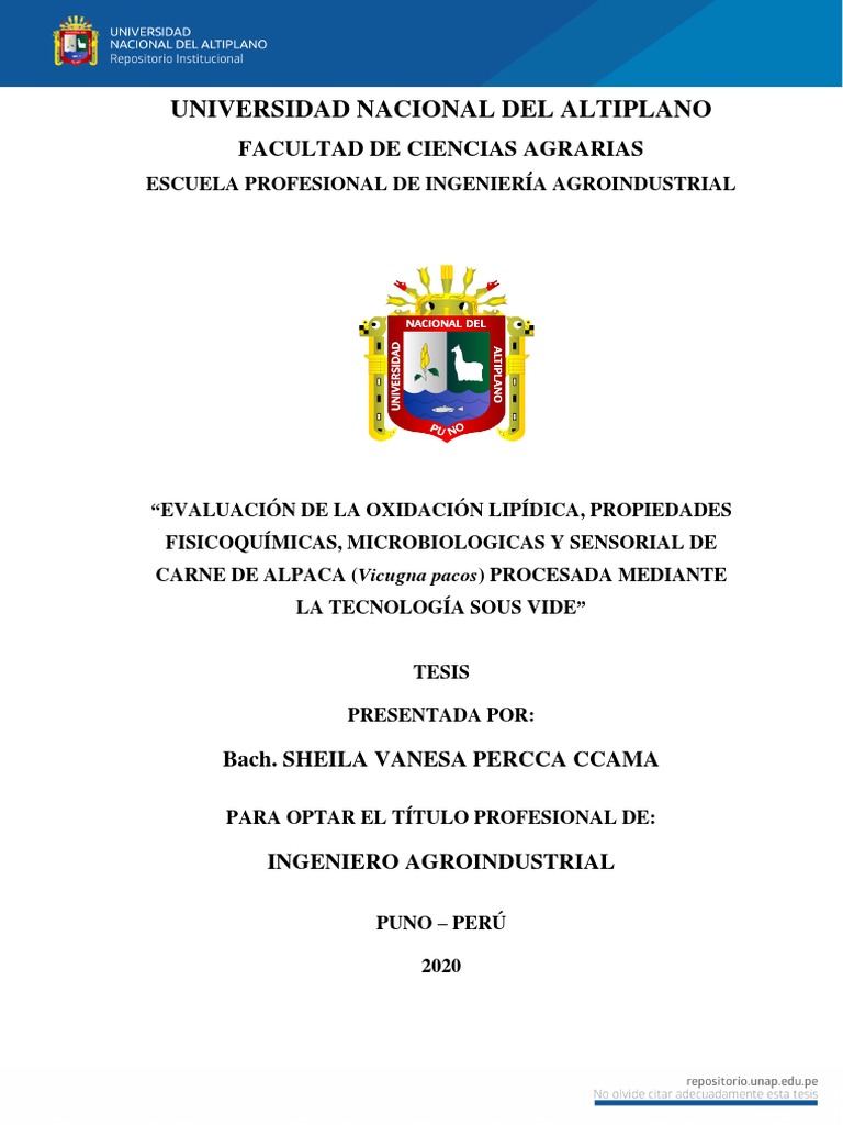 Percca Ccama Sheila Vanesa | PDF