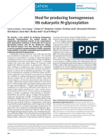 A Combined Method For Producing Homogeneous Glycoproteins With Eukaryotic N-Glycosyation